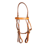 Syd Hill Barcoo Bridle Head