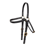 Syd Hill Barcoo Bridle Head