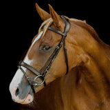 Platinum Signature Classic Bridles