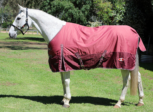 Burgundy horse rug on grey horse