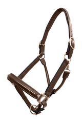 PLATINUM LEATHER SHOW HALTER