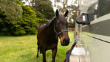 MySpy Horse Float Camera Set