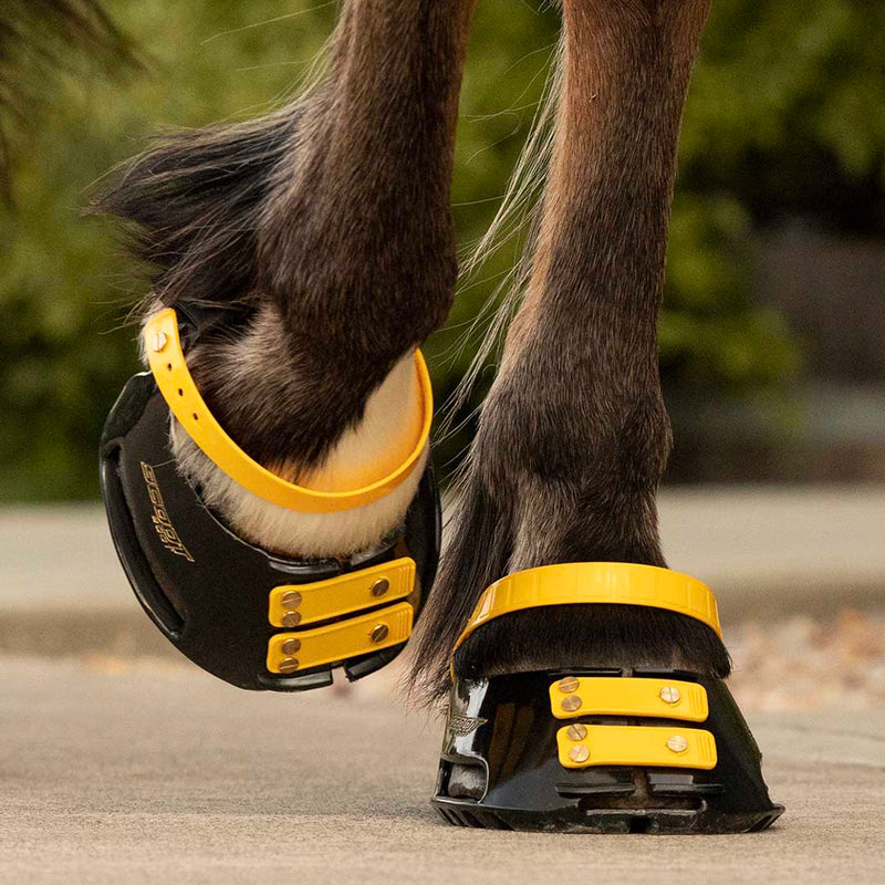 Scoot Boot - Front Strap Pack