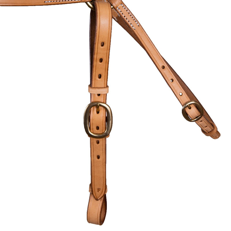 Syd Hill Barcoo Bridle Head