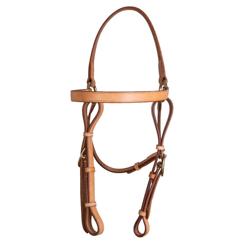 Syd Hill Barcoo Bridle Head