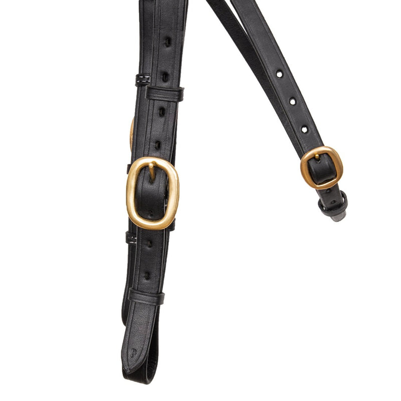 Syd Hill Barcoo Bridle Head