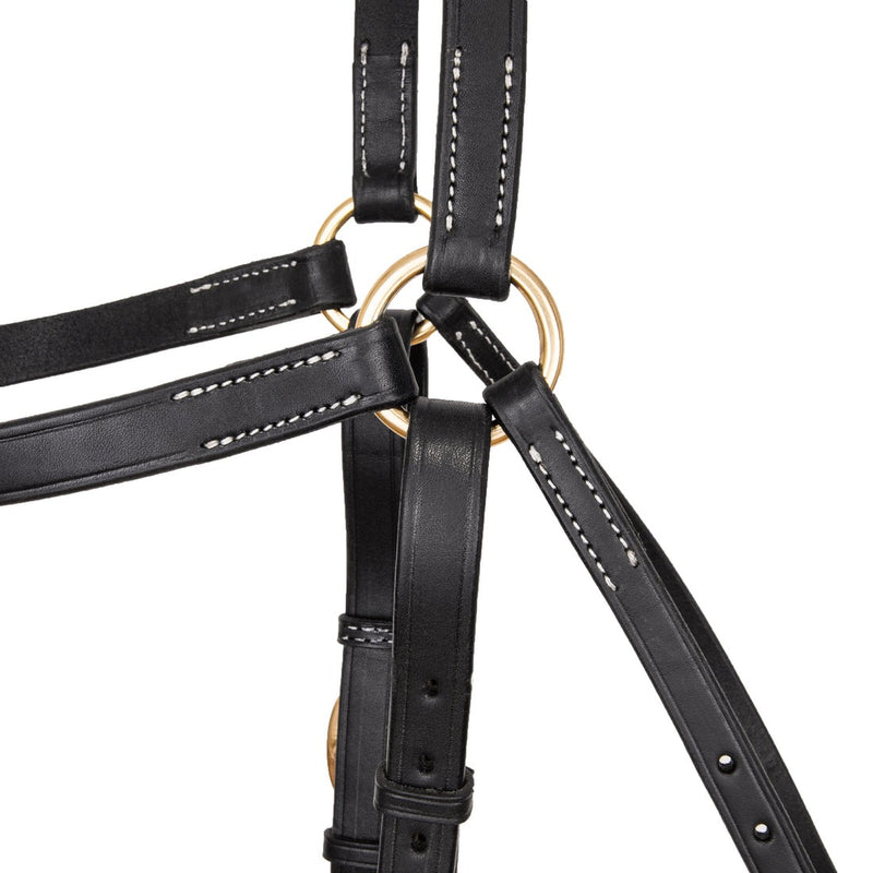 Syd Hill Barcoo Bridle Head