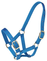 Zilco Gymkhana Foal Halter
