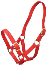 Zilco Gymkhana Foal Halter
