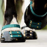 Scootboot - Pastern Straps
