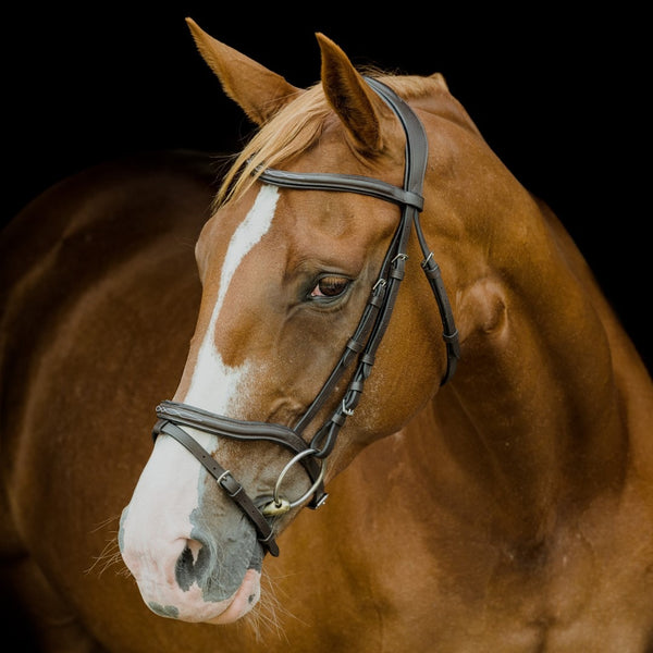 Platinum Signature Elegance Bridle