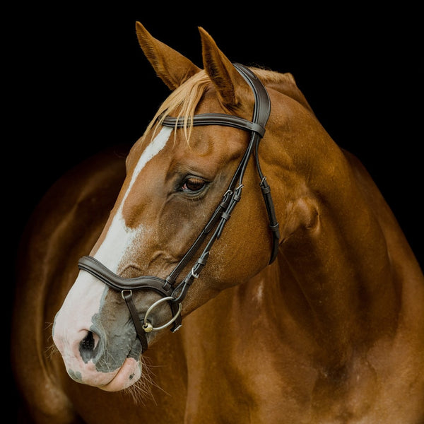 Platinum Signature Pressure Relief Bridle
