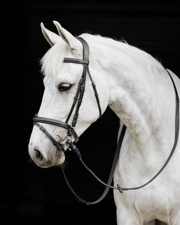 Cavallino McLean Anatomic Bridle