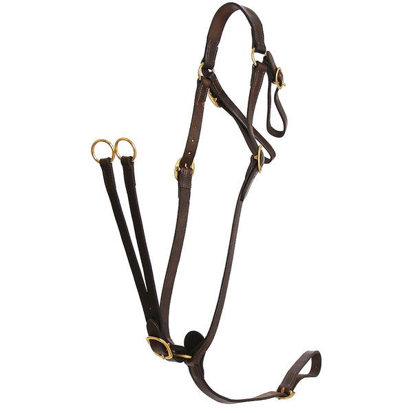 Flair Martingale Breastplate