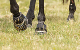 Scoot Boot Multipurpose Gaiters