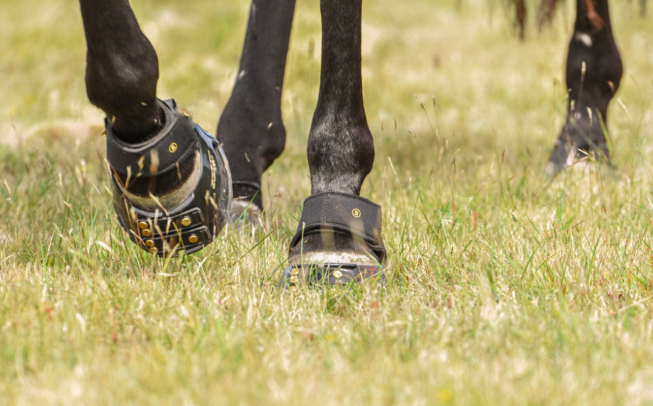 Scoot Boot Multipurpose Gaiters