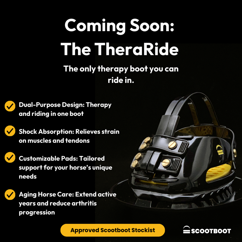 Scootboot TheraRide (Pair)