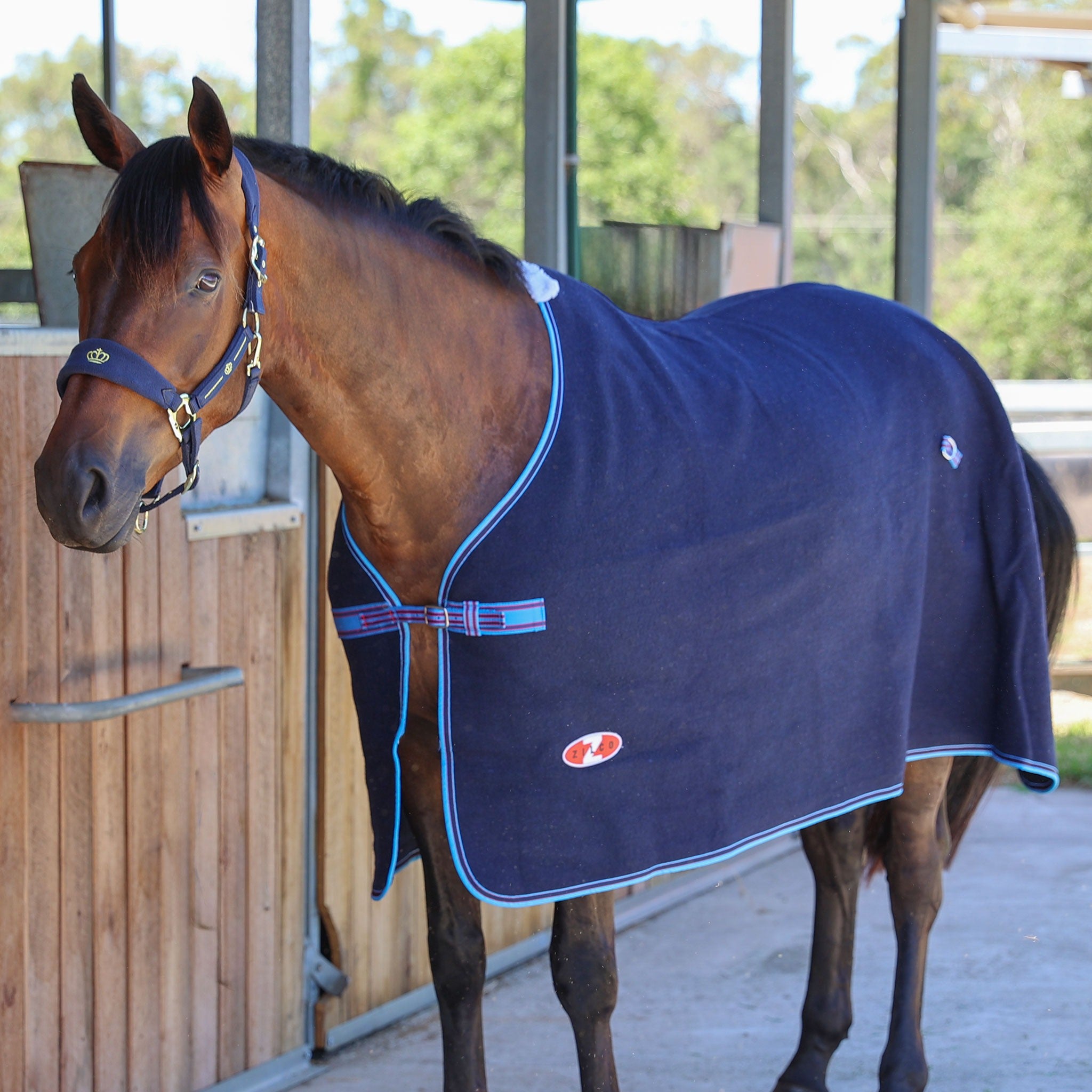 Zilco Defender Wool Rug NZ | Stable & Travel Horse Rug – Griffin Equestrian