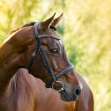 LUMIERE 'MILAN' BRIDLE (CONVERTIBLE)
