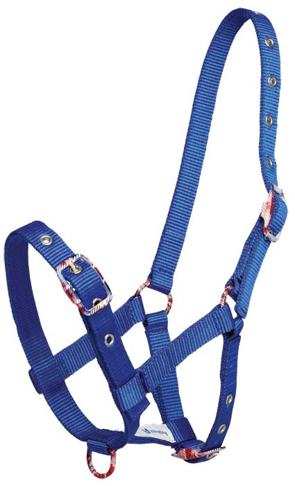 Zilco Foal Halter (Fancy Buckle)