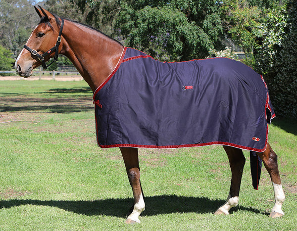 Zilco Rip Protector Rug Rugs – Griffin Equestrian