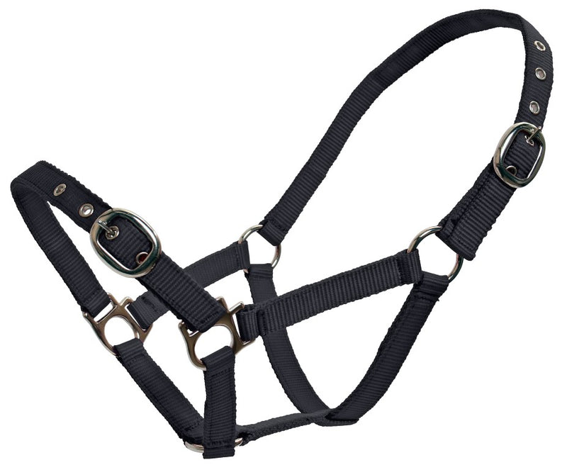 Blue Tag Web Halters - Small sizes