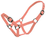 Blue Tag Web Halters - Small sizes