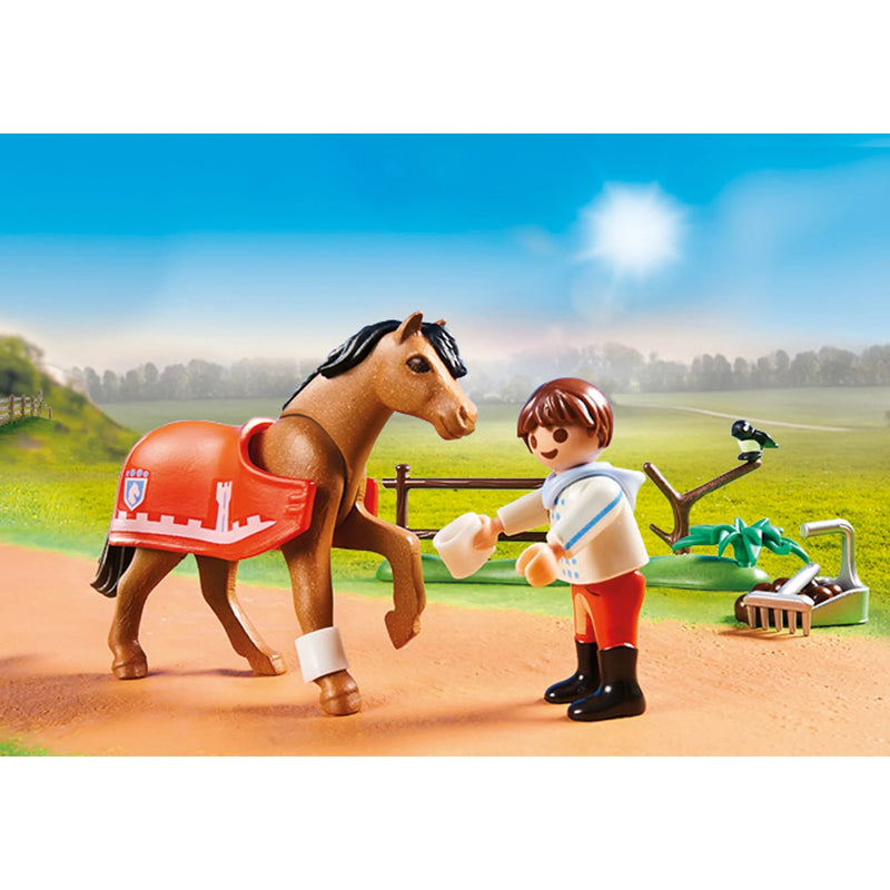 Playmobil Country Collectible Connemara Pony